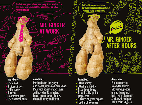 mr-ginger_na_blog-en