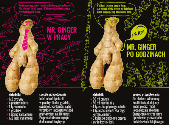 mr-ginger_na_blog-pl